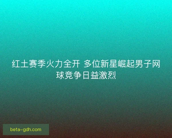 红土赛季火力全开 多位新星崛起男子网球竞争日益激烈